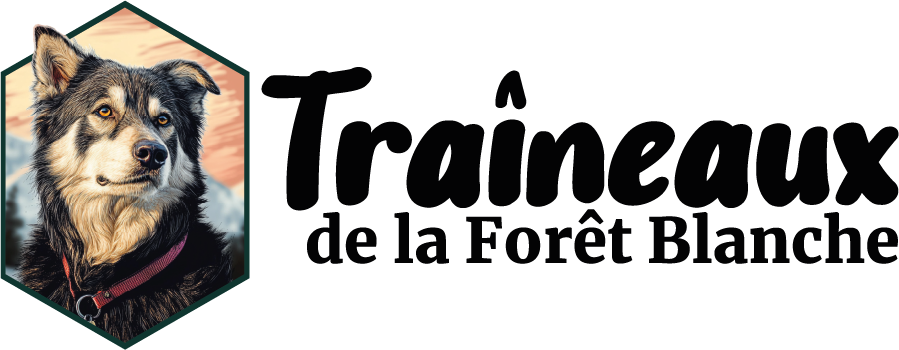 Bienvenue chez les Traîneaux de la Forêt Blanche